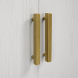 Accent Cabinets Front Range White 2 Door Cabinet