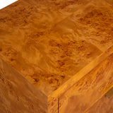 Accent Cabinets Indus 2 Drawer Burl Chest