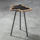 Accent Table Mircea Petrified Wood Accent Table