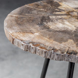 Accent Table Mircea Petrified Wood Accent Table