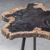 Accent Table Mircea Petrified Wood Accent Table