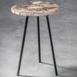 Accent Table Mircea Petrified Wood Accent Table