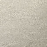 Bar & Counter Stools Dariela Counter Stool // Cream