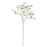 DOGWOOD BRANCH - Pale Green