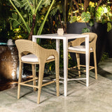 Outdoor Kavali Outdoor Wicker Counter Stool