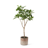 Faux Foliage Potted Faux Ficus Tree // 50"
