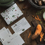 Hand Illustrated Recipe Card Box Set 24