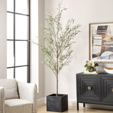 Home Accents Abundance Potted Olive Tree