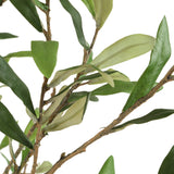 Home Accents Abundance Potted Olive Tree