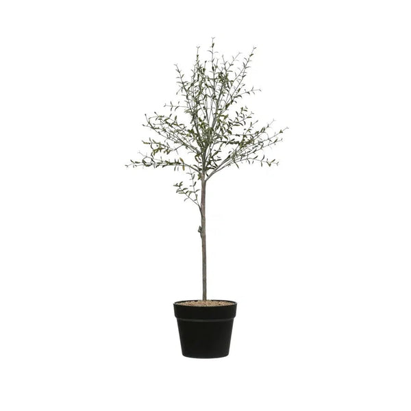 Home Accents Faux Thyme Topiary in Pot 