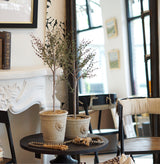 Home Accents Faux Thyme Topiary