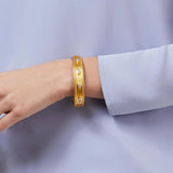 Lifestyle Monaco Cubic Zirconia Hinge Bangle