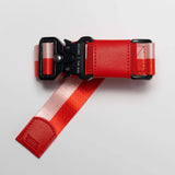 Lifestyle Mini Travel Belt // Flamingo