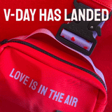 Lifestyle The Bag Buddy // Amor