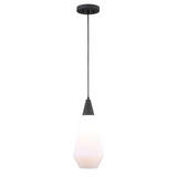 Eichler Single Light Mini Pendant // Black & Opal