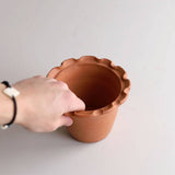 Emery Terracotta Planter