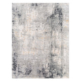 Rug Paoli Abstract Rug // Gray