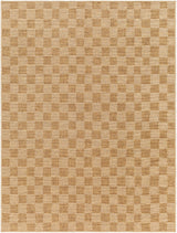Rug Pismo Beach Outdoor Rug // Amber & Tan