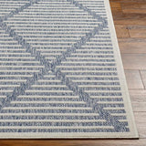 Rug San Diego Blue & White Area Rug