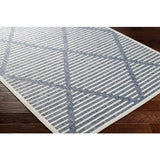 Rug San Diego Blue & White Area Rug