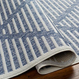 Rug San Diego Blue & White Area Rug