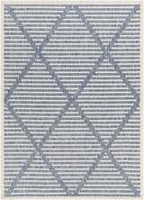 Rug San Diego Blue & White Area Rug