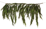 Seasonal & Holiday Decorations 40" REAL TOUCH NORFOLK PINE DRIPPING GARLAND