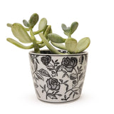 Vases Black & White Ceramic Cachepot // 4 Styles