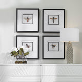 Wall Art Anthophila Framed Prints, S/4