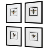 Wall Art Anthophila Framed Prints, S/4
