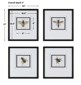 Wall Art Anthophila Framed Prints, S/4