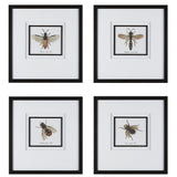 Wall Art Anthophila Framed Prints, S/4
