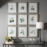 Wall Art Antique Botanicals Framed Prints, S/9