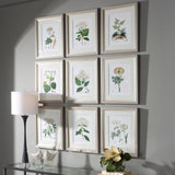 Wall Art Antique Botanicals Framed Prints, S/9