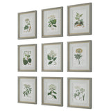 Wall Art Antique Botanicals Framed Prints, S/9