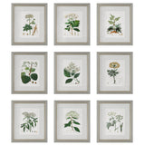 Wall Art Antique Botanicals Framed Prints, S/9
