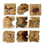 Wall Art Bahati Wood Wall Decor In Natural // Set of 9