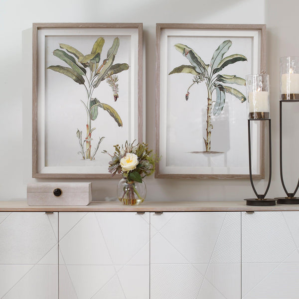 Wall Art Banana Palm Framed Prints, Set/2