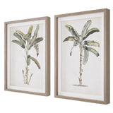 Wall Art Banana Palm Framed Prints, Set/2