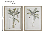 Wall Art Banana Palm Framed Prints, Set/2