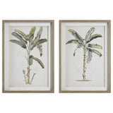 Wall Art Banana Palm Framed Prints, Set/2