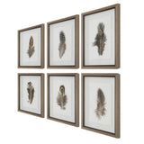 Wall Art Birds Of A Feather Framed Prints, S/6