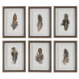 Wall Art Birds Of A Feather Framed Prints, S/6