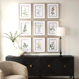 Wall Art Botanical Flowers Framed Prints // Set of 9