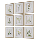 Wall Art Botanical Flowers Framed Prints // Set of 9
