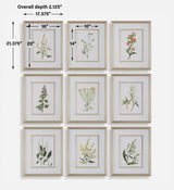 Wall Art Botanical Flowers Framed Prints // Set of 9