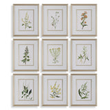 Wall Art Botanical Flowers Framed Prints // Set of 9