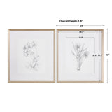 Wall Art Botanical Sketches Framed Prints S/2