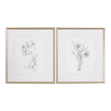 Wall Art Botanical Sketches Framed Prints S/2