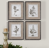 Wall Art Casual Grey Study Framed Art Set/4